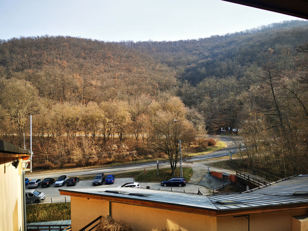 Patak Park Hotel Visegrad主图