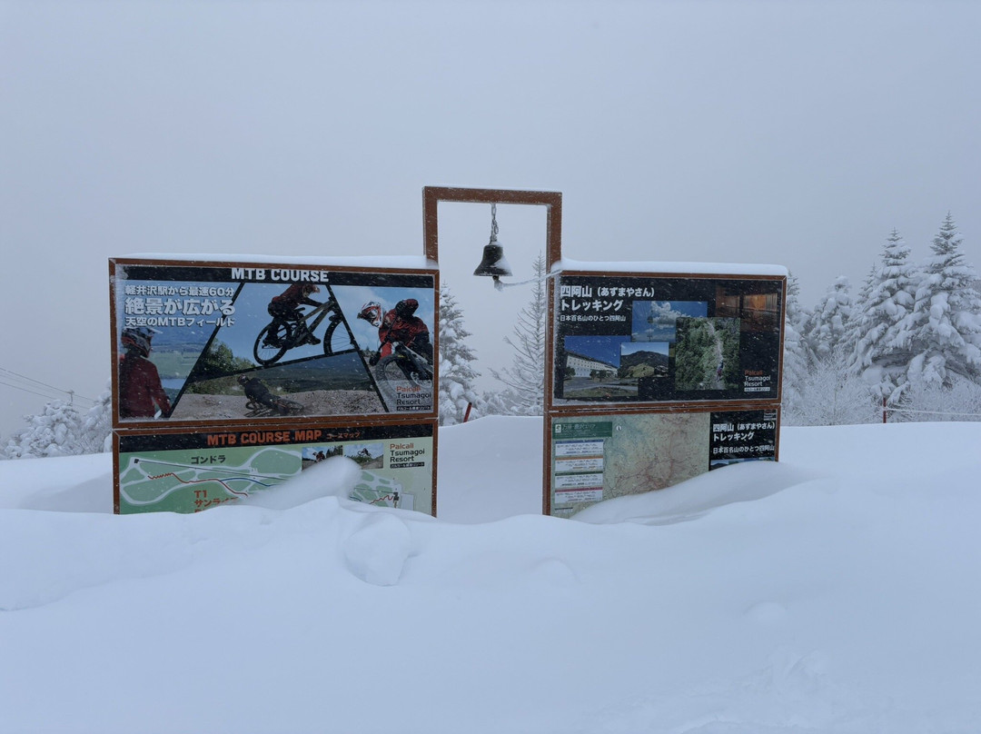 Palcall Tsumagoi Ski Resort景点图片