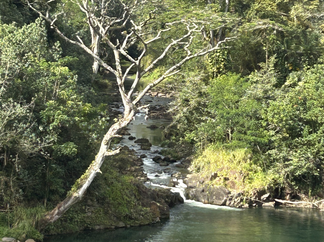 Kauai's Hindu Monastery-卡帕阿必去景点