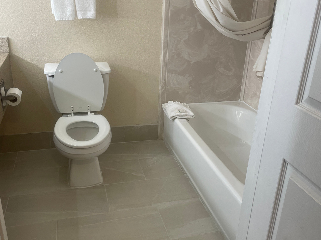 Quality Inn & Suites主图