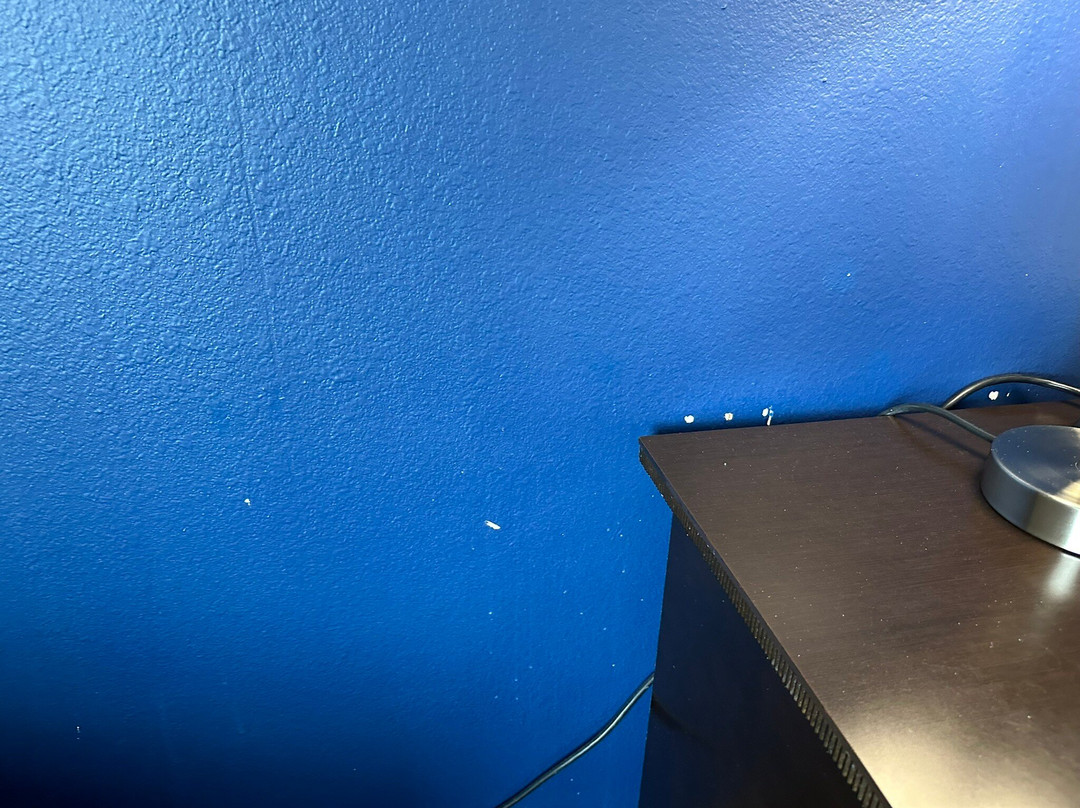 La Quinta Inn & Suites by Wyndham Alvin主图