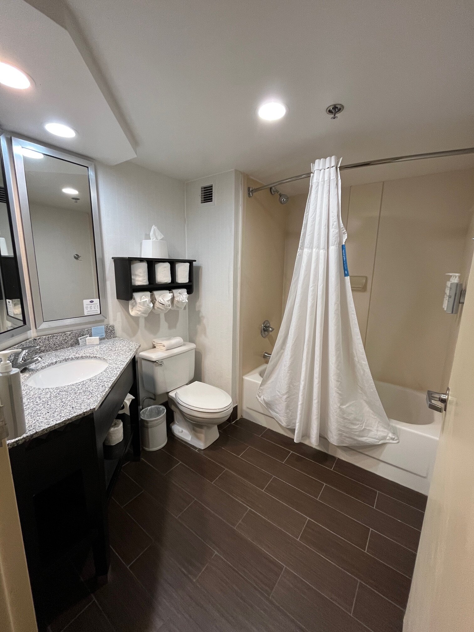Hampton Inn Mobile-East Bay/Daphne-浴室