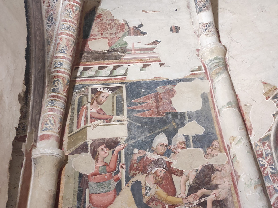 Polo Museale di San Francesco景点图片