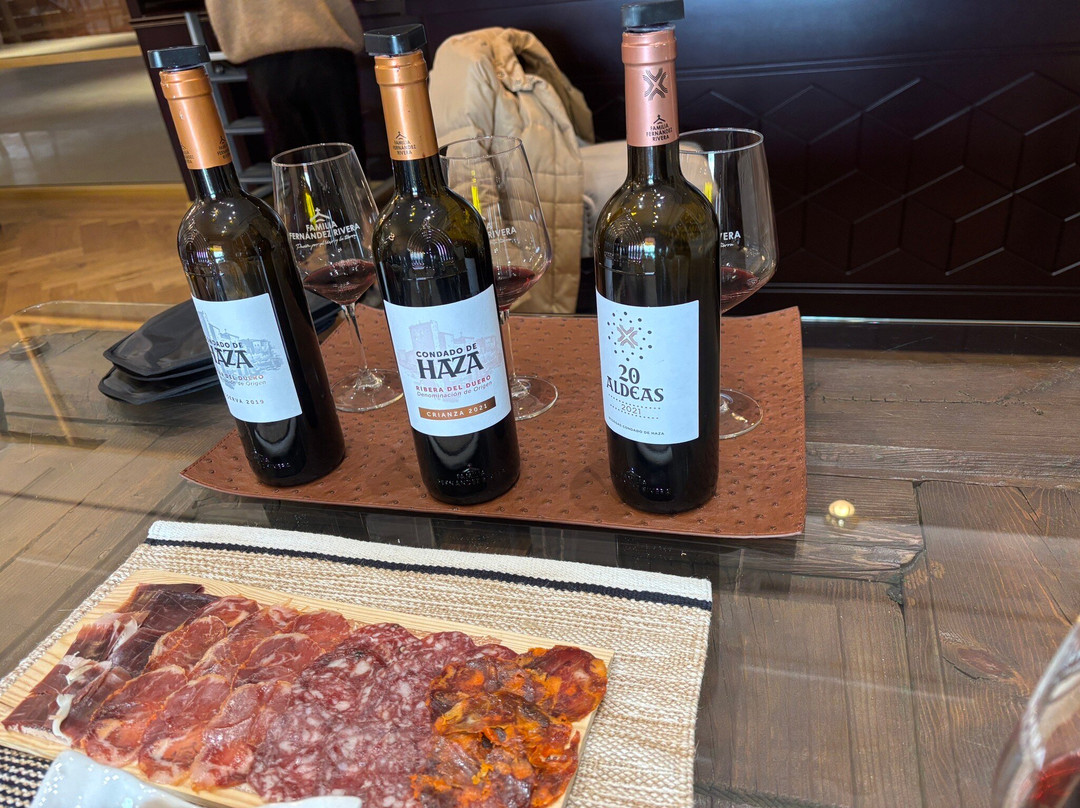 Grupo Pesquera, Bodega Condado de Haza景点图片
