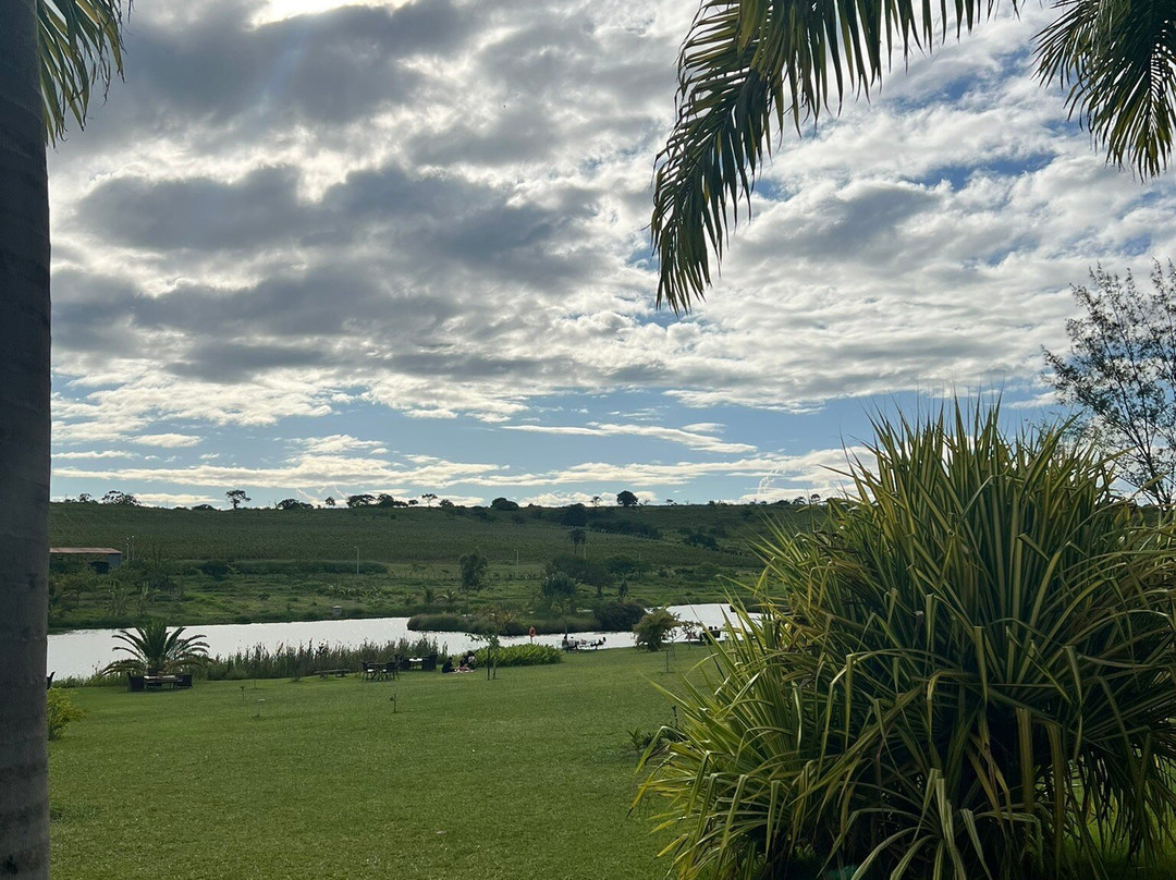 Vinícola Vale Das Colinas-Garanhuns必去景点