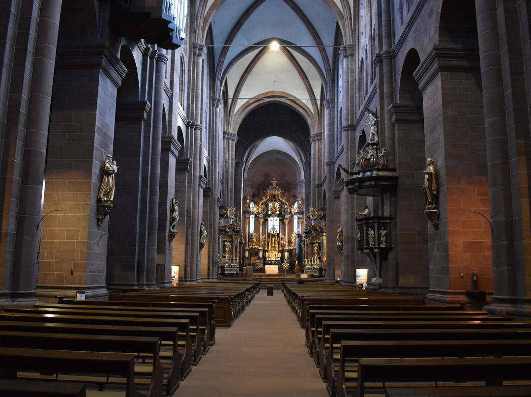Dom St Peter-沃尔姆斯必去景点