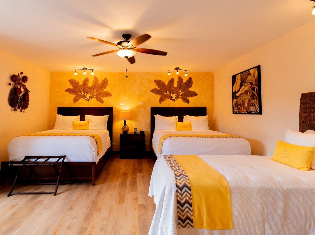 Buena Vista Chic Hotel主图