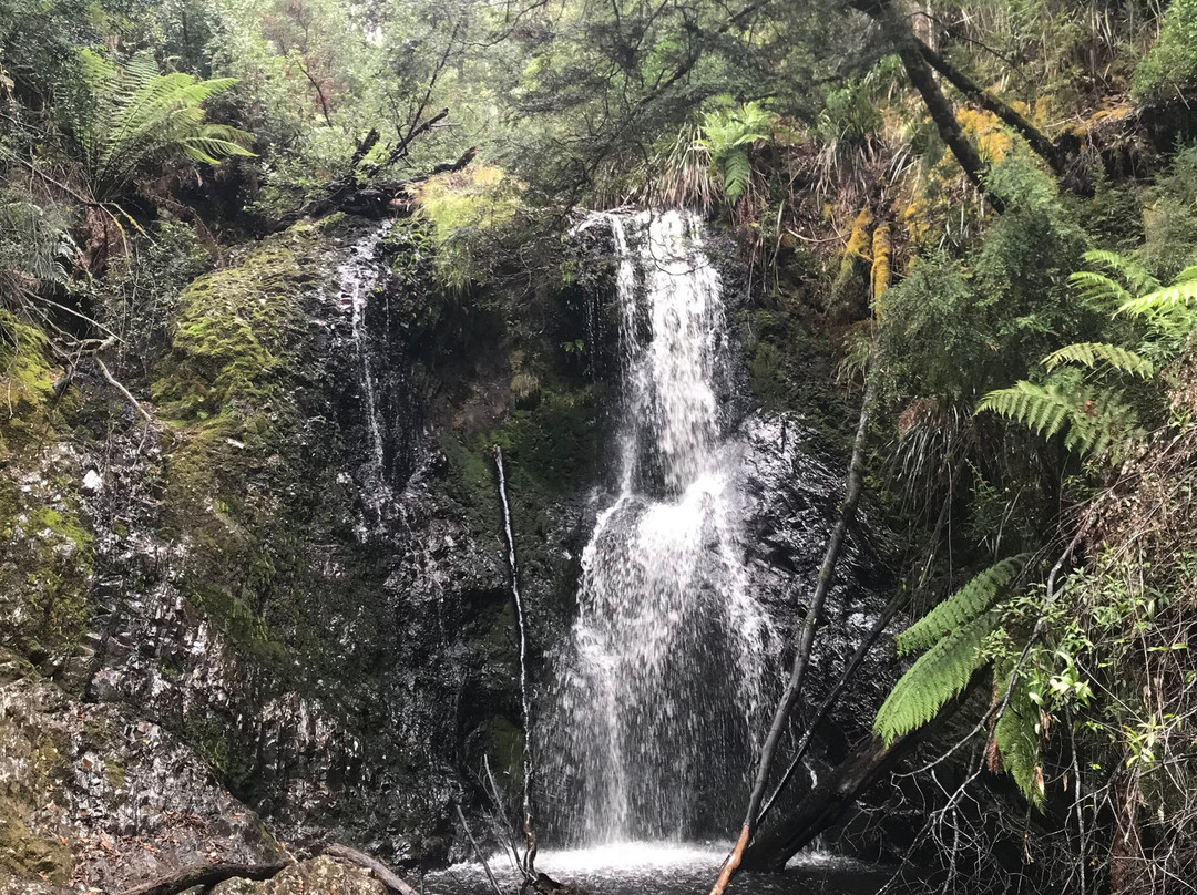 Hogarth Falls-斯特拉恩必去景点