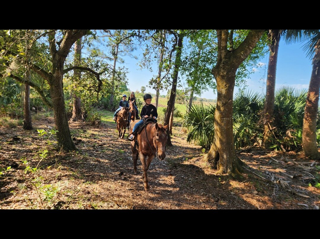 Wagon Wheel Horse Farm-奥基乔比必去景点