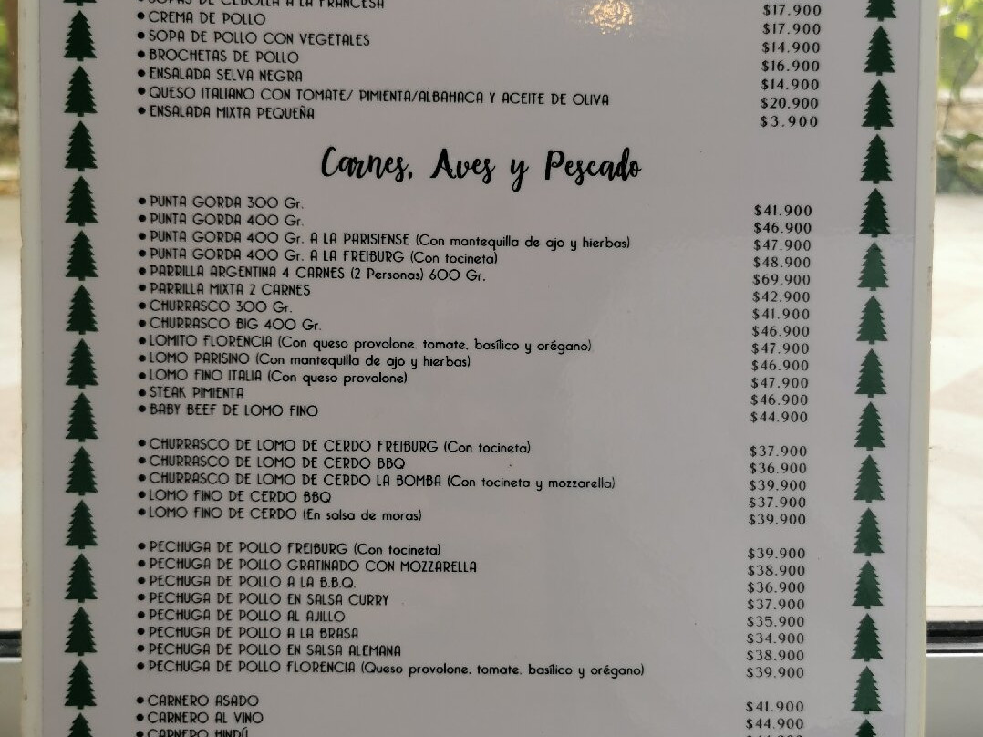 Hotel Selva Negra主图