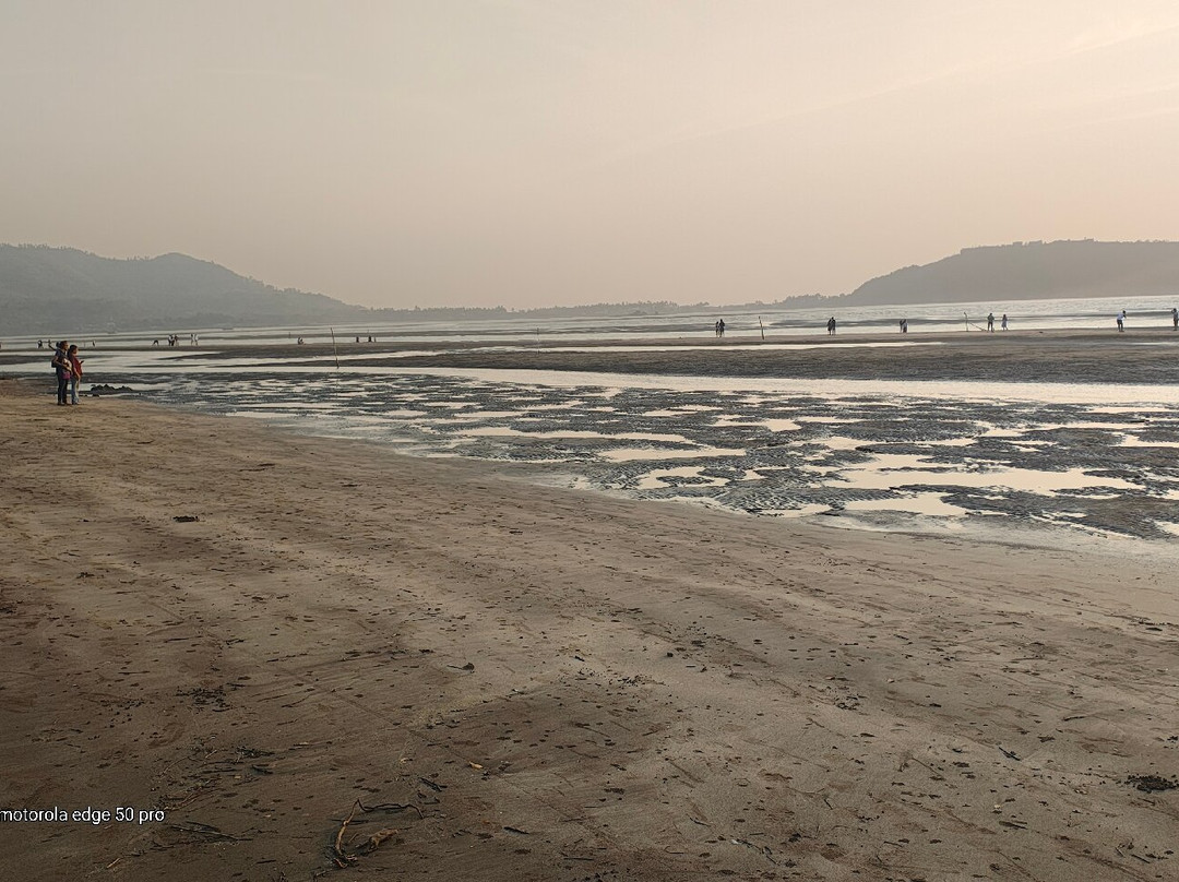 Revdanda Beach Fort景点图片
