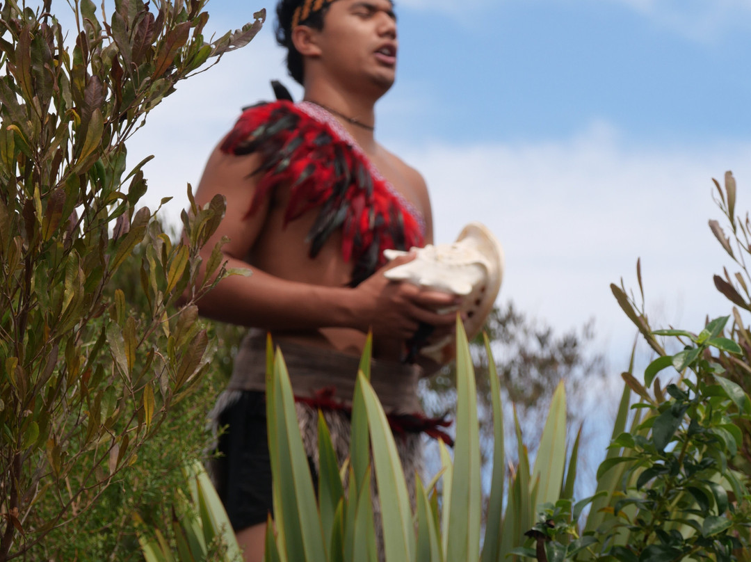 Manea Footprints of Kupe-Opononi必去景点