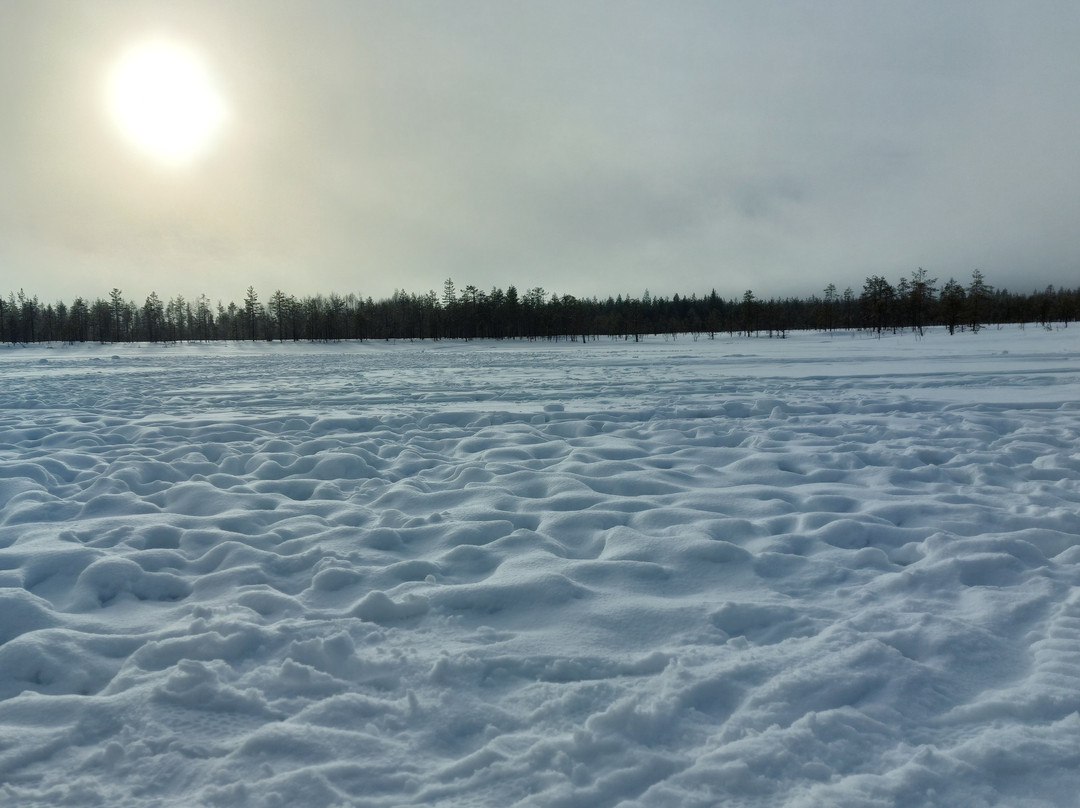 Aavasaksa Adventures-Ylitornio必去景点