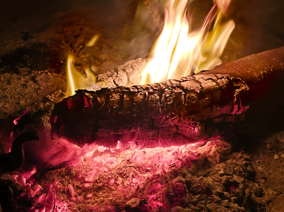 Western Desert-开罗必去景点