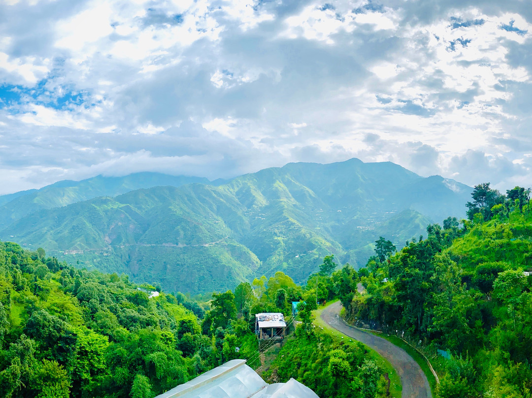 Evaan Resorts Garden Courts Solan主图