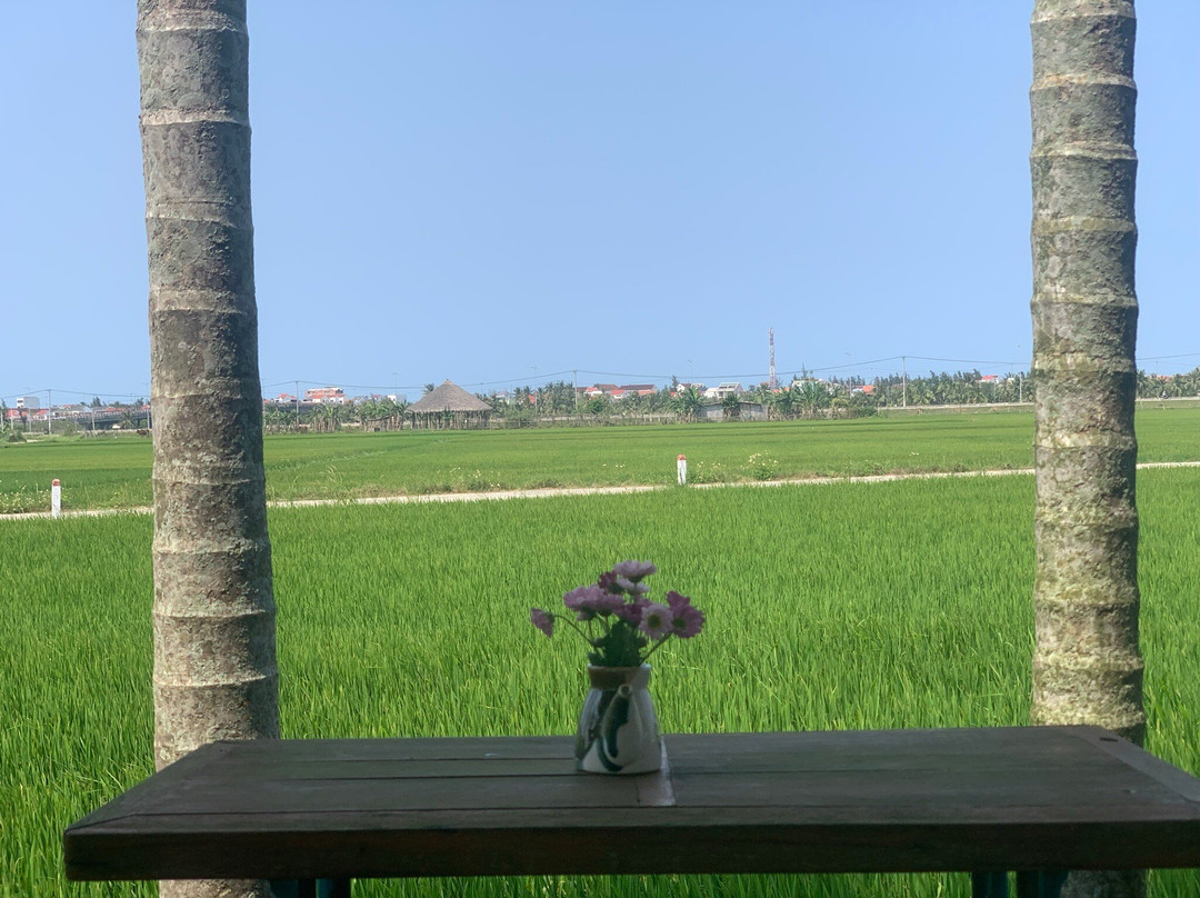 TRAVEL BUDDY-Phuoc My必去景点