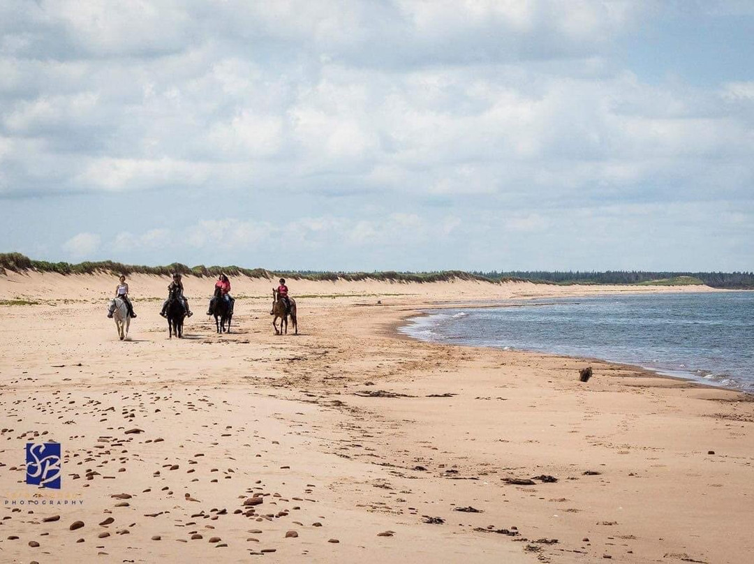 Lakeside Trail Rides-Morell必去景点