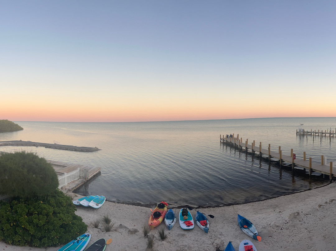 松树&棕榈树度假极度主图