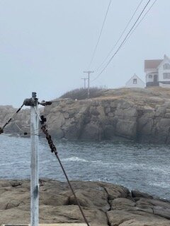 Cape Neddick Nubble Lighthouse景点图片