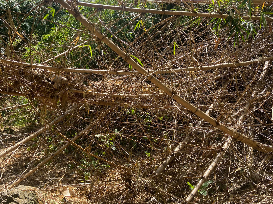 Cascade Delices景点图片