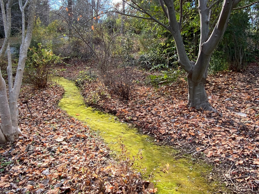 Sonoma Botanical Garden景点图片