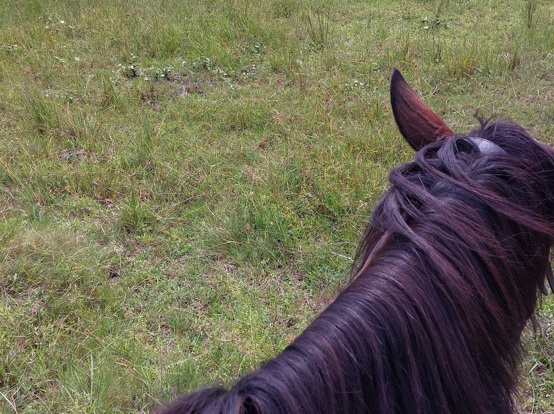 Bhangazi Horse Safaris-圣露西亚必去景点