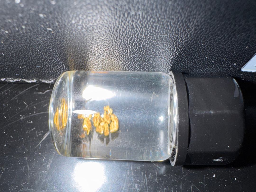 California Gold Panning景点图片