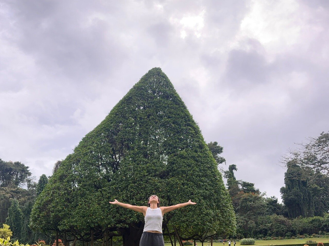 Lets See Asia Travels景点图片