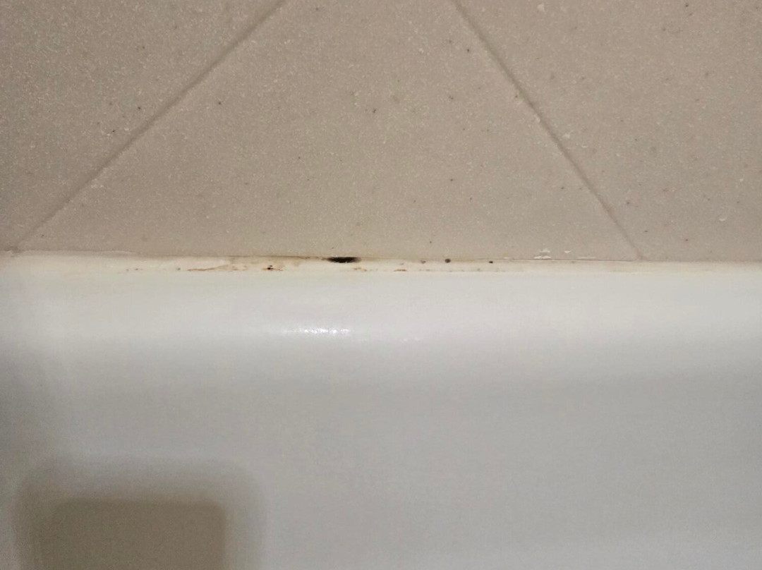 Hampton Inn Battle Creek主图