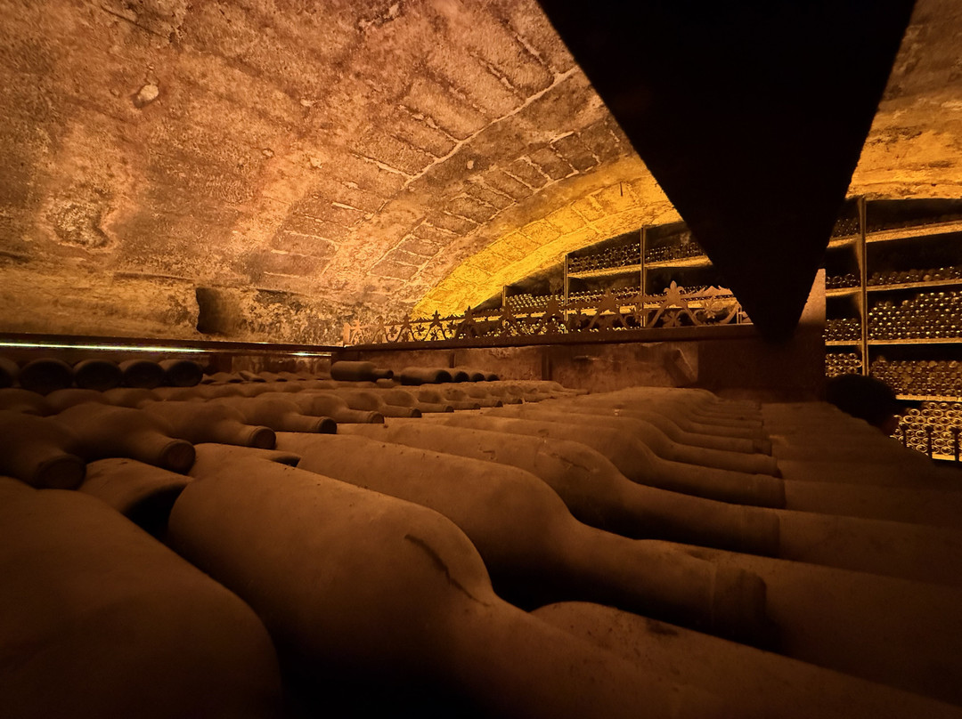 Bodega Conde de los Andes-Ollauri必去景点