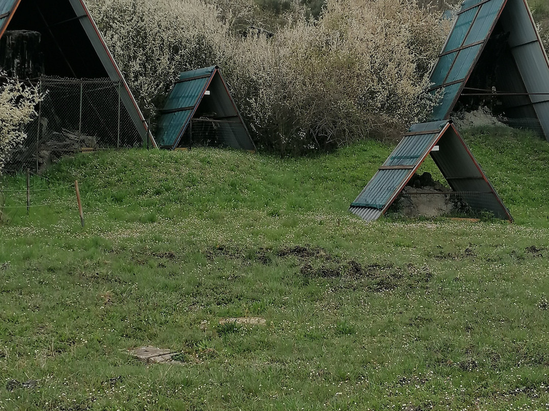 Foresta Fossile-Avigliano Umbro必去景点