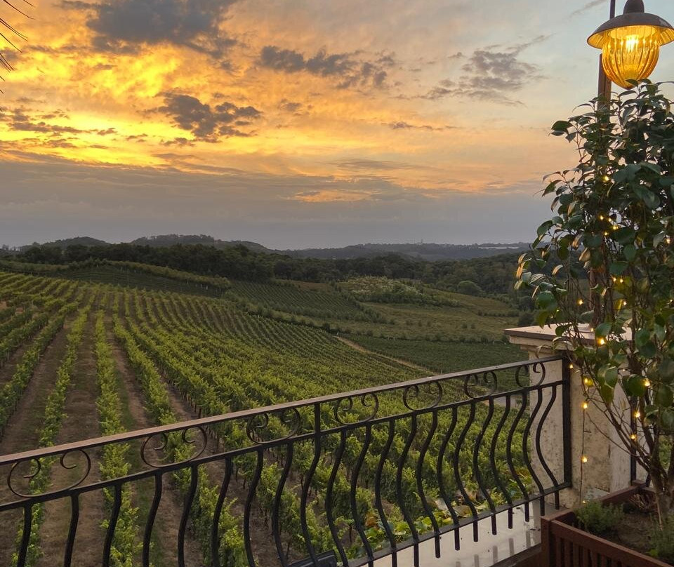 Torrontes Enoturismo景点图片
