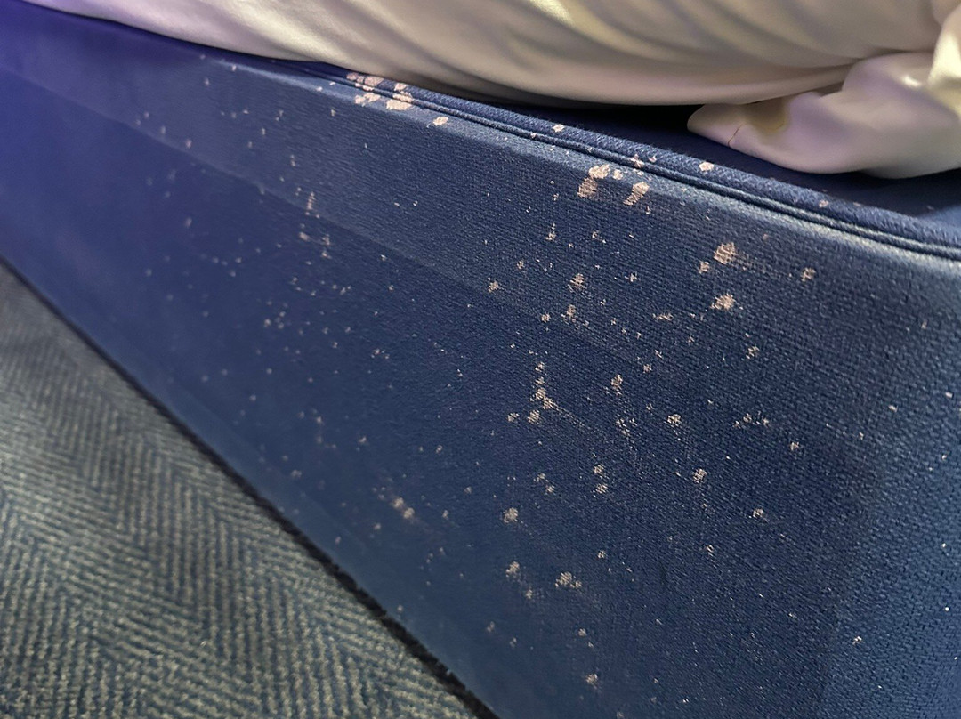 Travelodge Ashford主图