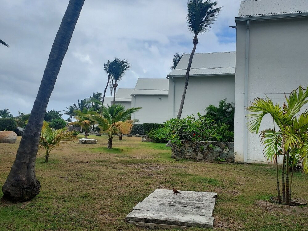 La Playa Orient Bay主图