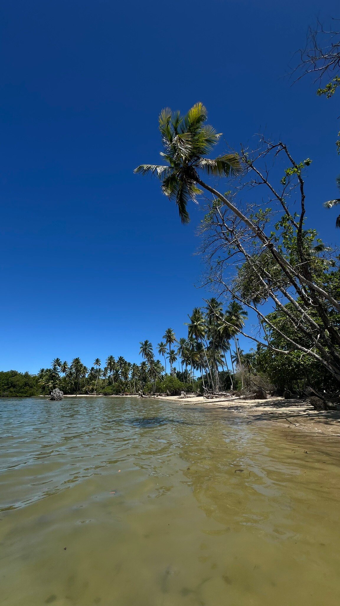 Hotel Karapitangui-官方