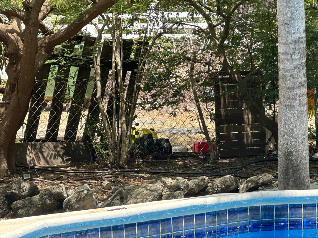 Tropical Divers Resort主图