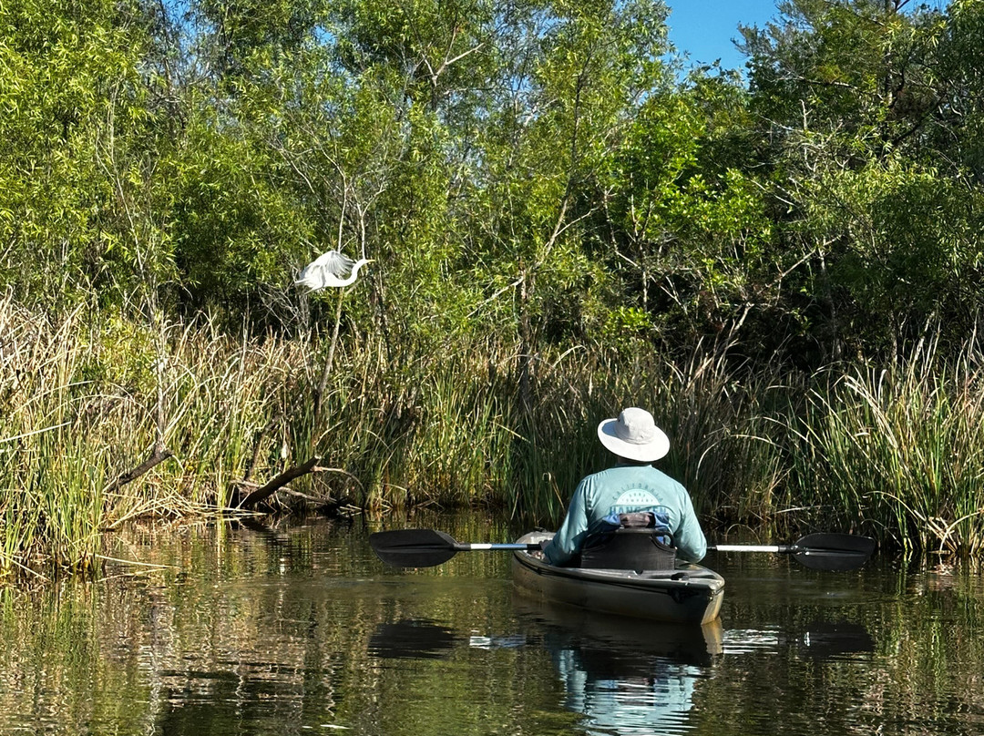 Tour The Glades - Private Wildlife Tours-大沼泽地必去景点