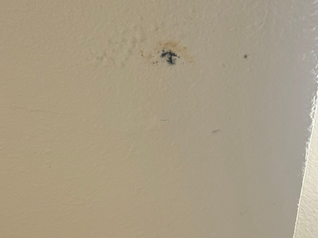 Days Inn by Wyndham Clemson主图