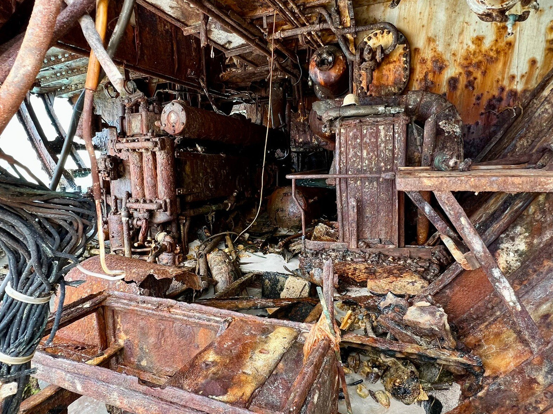 Pamead Shipwreck-Sandy Ground必去景点