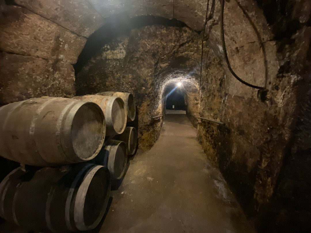 Bodegas Carlos San Pedro Perez de Vinaspre景点图片