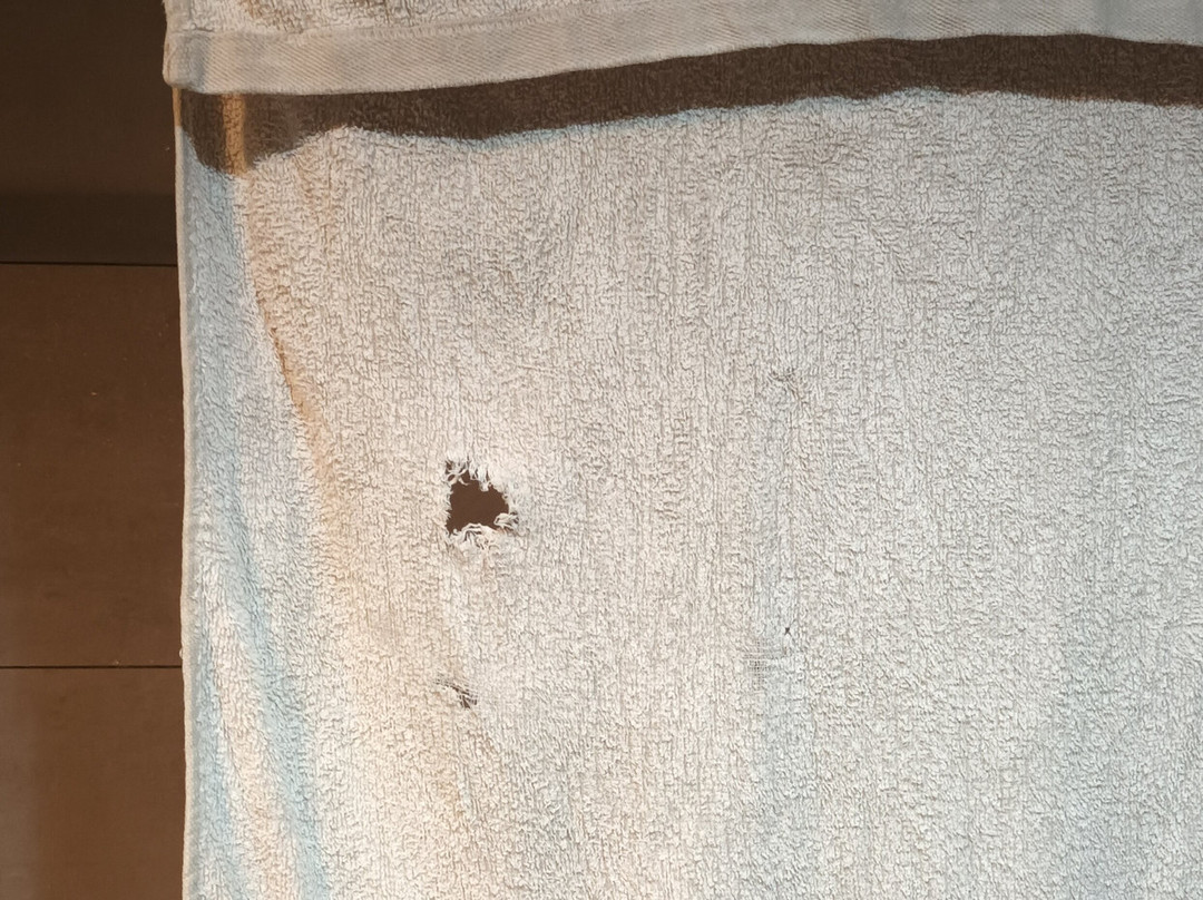 Premium Tower Suites主图