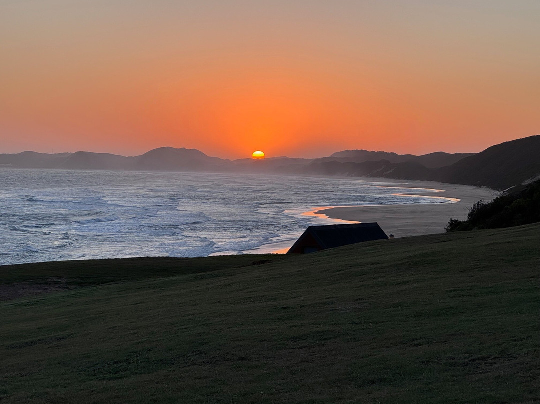 Cape Scenic Tours景点图片