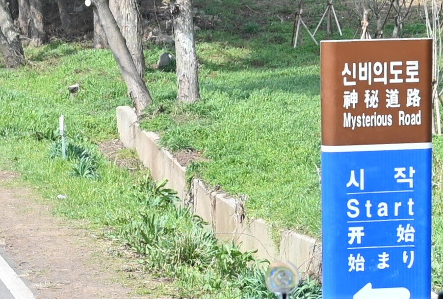 济州岛神奇之路-济州必去景点