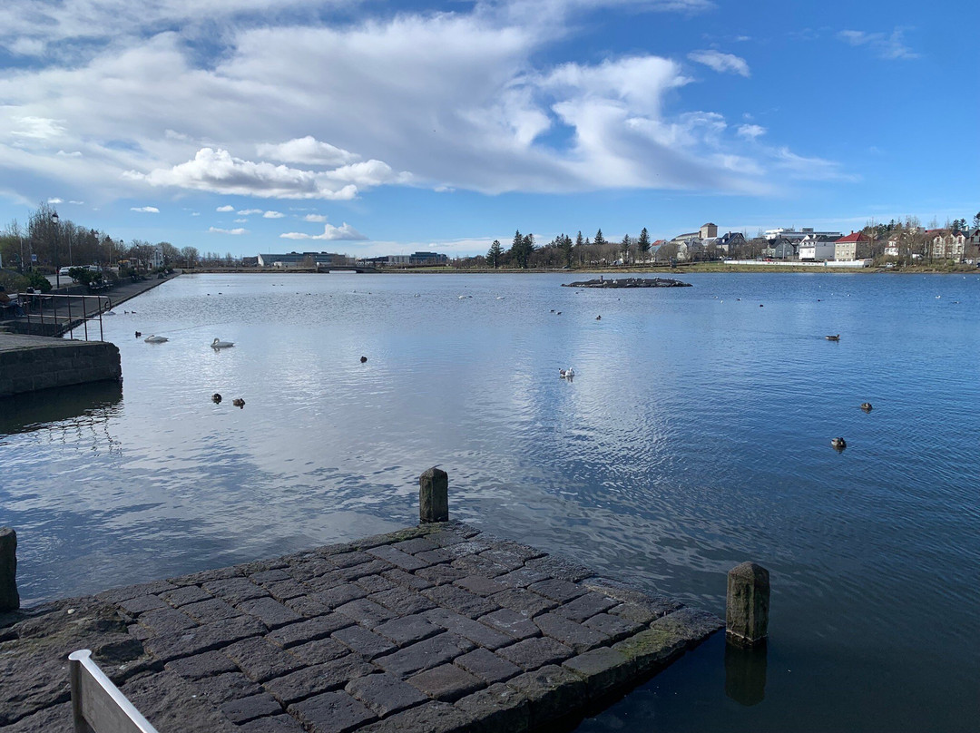 Lake Tjornin景点图片