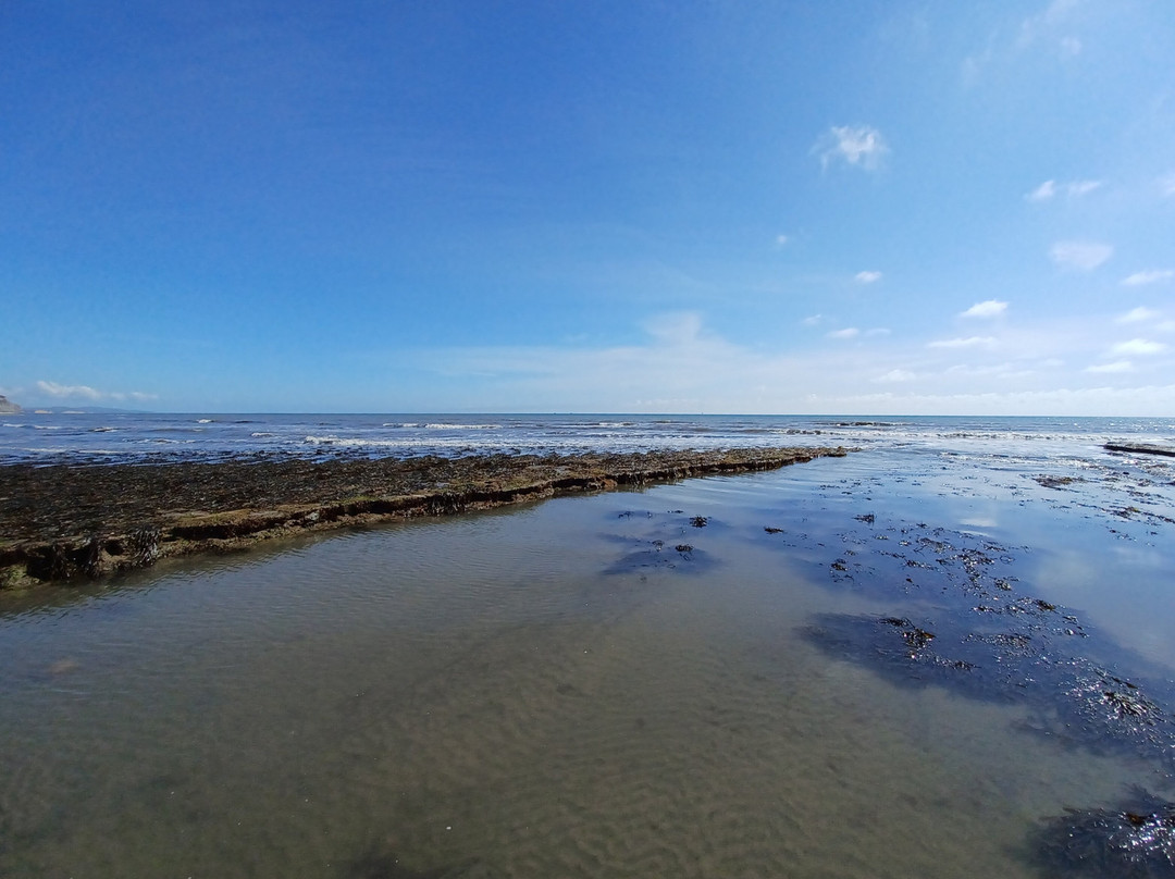 Charmouth Beach景点图片