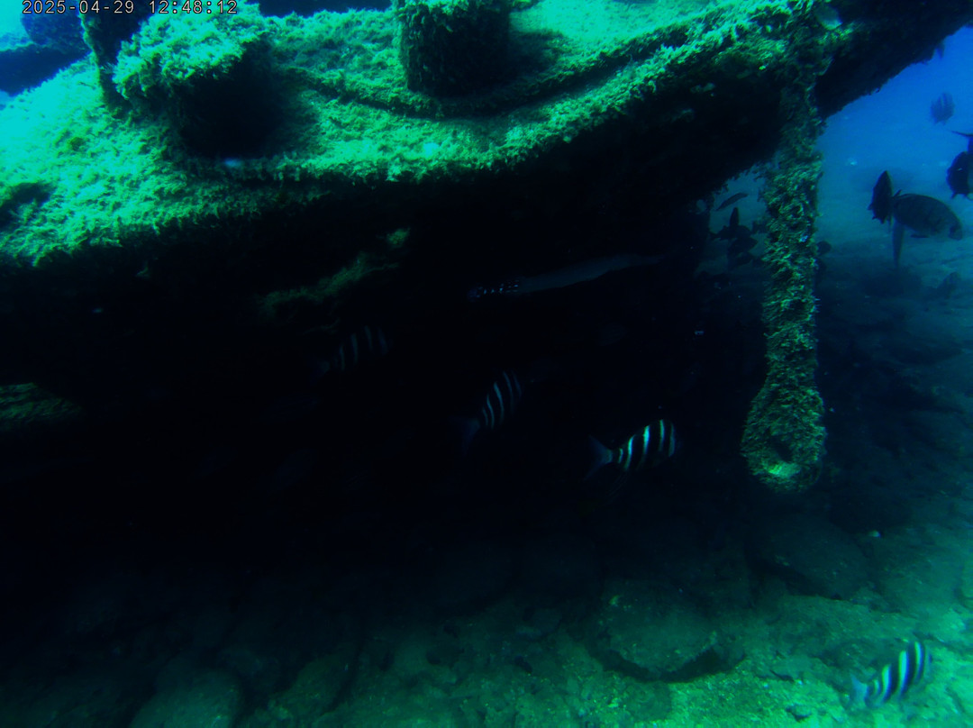 Nautico Diving Center-阿尔吉内金必去景点