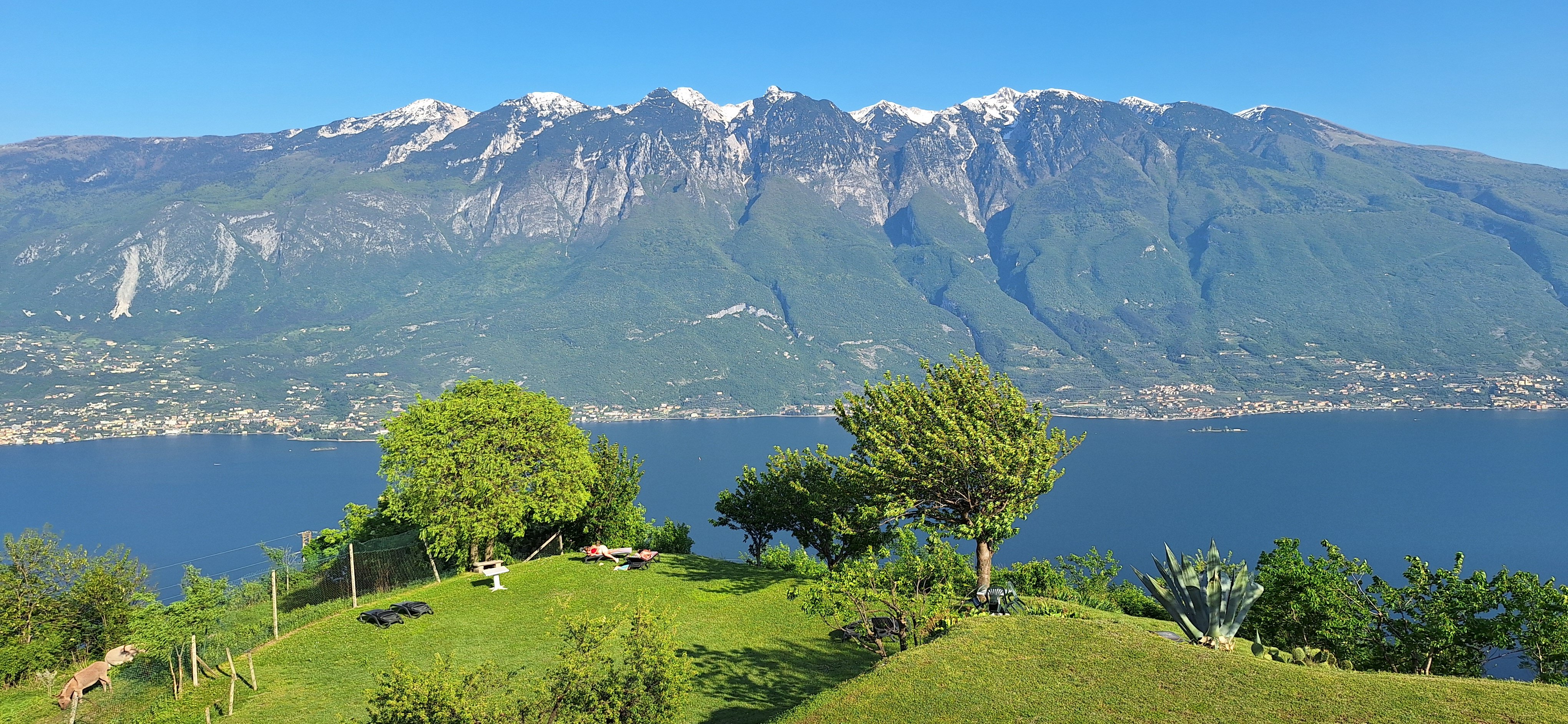 斯皮纳里酒店-官方