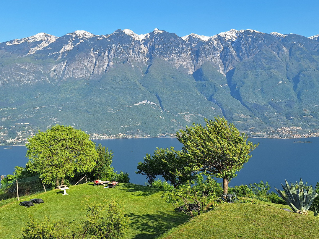 斯皮纳里酒店主图
