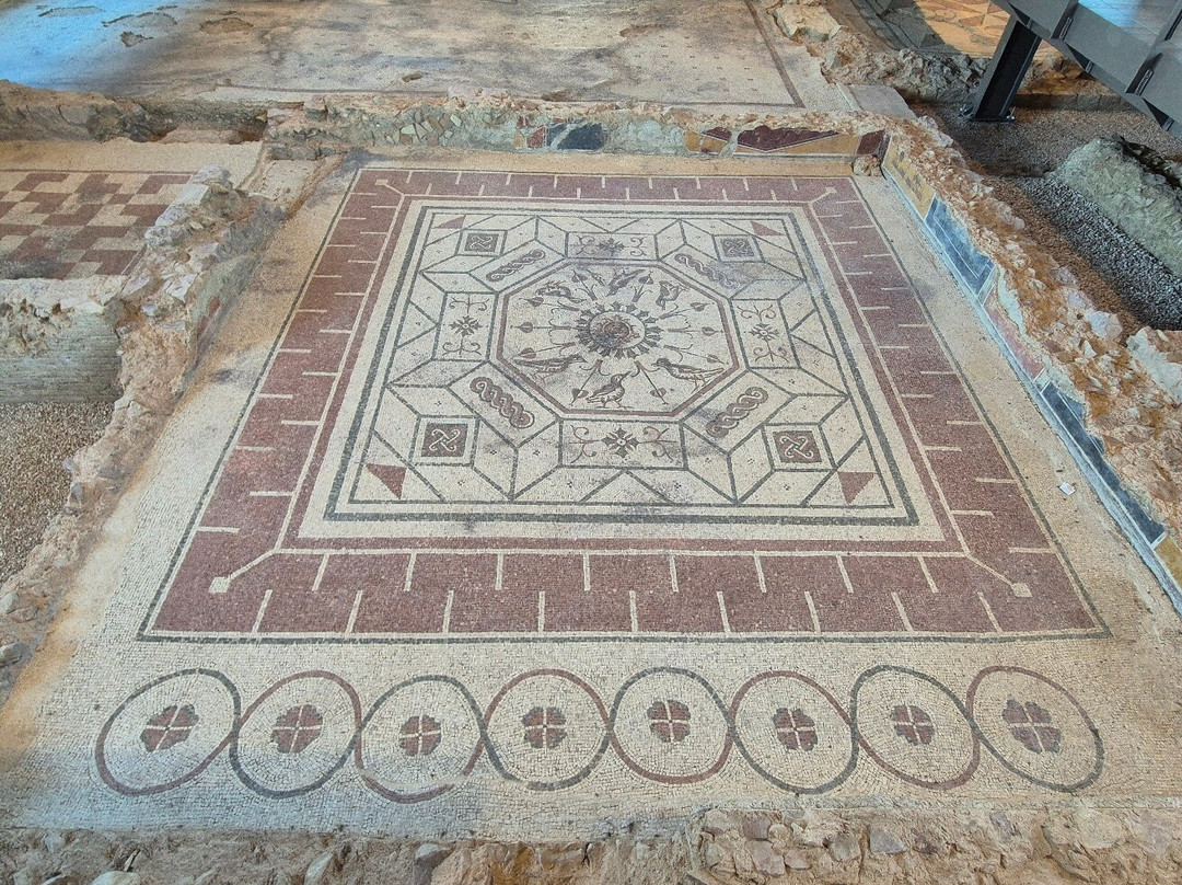 Villa dei Mosaici景点图片
