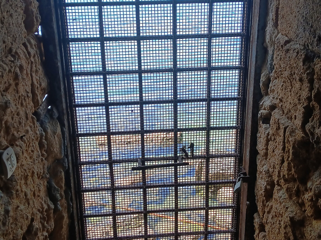 Museo Ipogeo Spartano di Taranto-塔兰托必去景点
